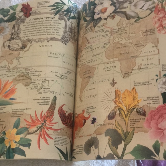 National Geographic Vol. 190 No. 5 November 1996 - Picture 9 of 14